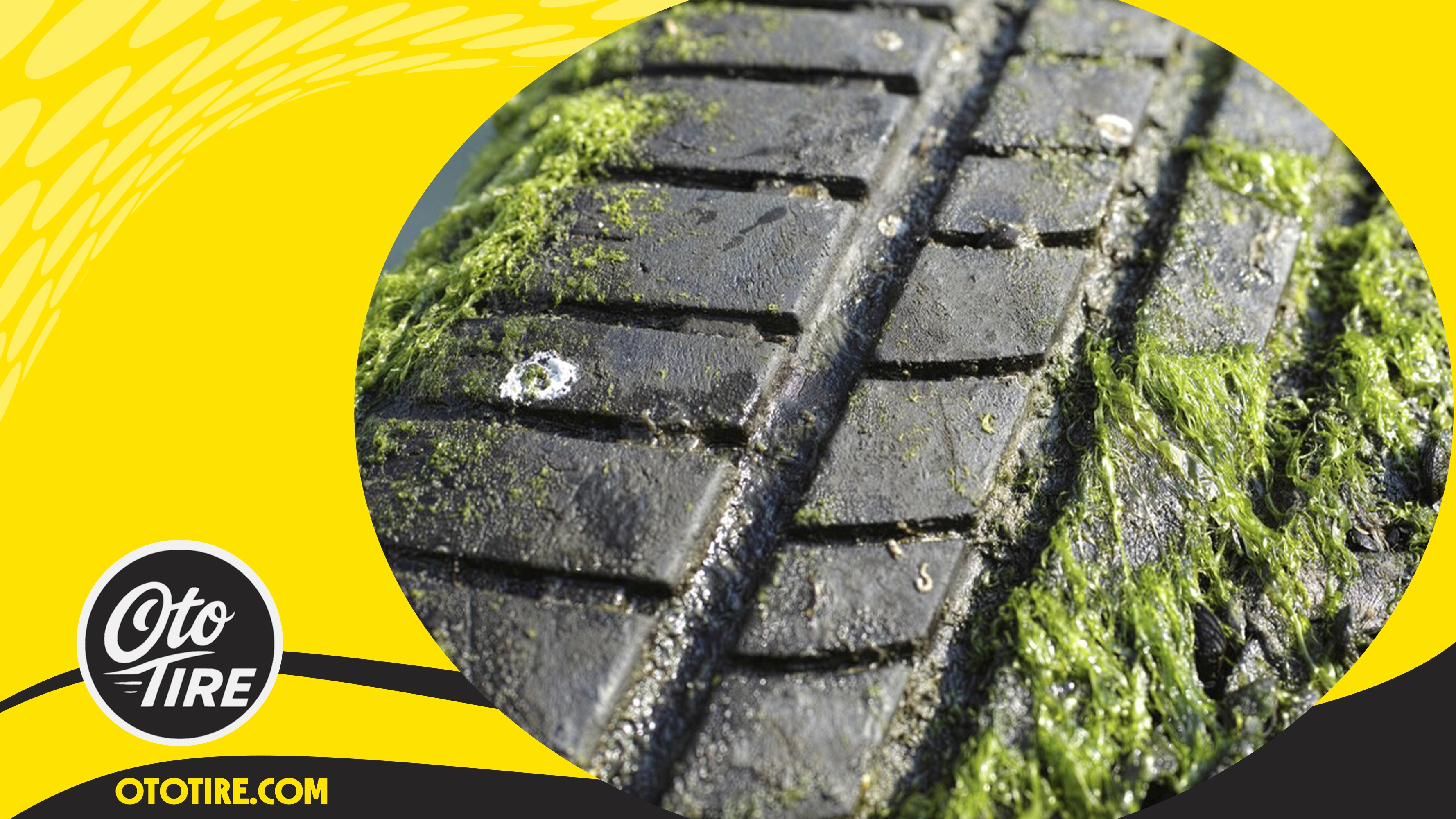 لاستیک مناسب جاده چالوس